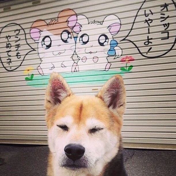 _夜光灯光冲刺赛:灯火下的速度较量_,灯光show