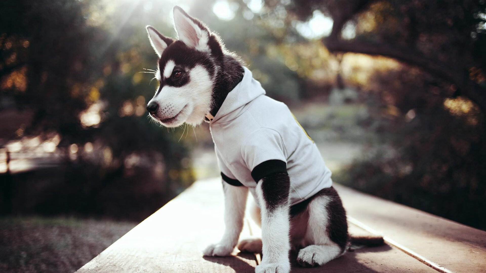 开云网页版-壯觀觀眾席，場外氛圍熱烈，賽事高潮迭起，形容观赛现场观众的词语