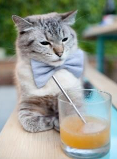 kaiyun官方网站-美国CS_GO俱乐部扩展东南亚市场，csgo东南亚战队