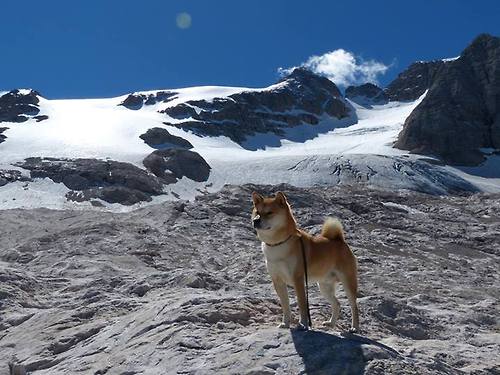 开云入口-阿斯顿维拉1-1曼联，主场平局，曼联阿斯顿维拉集锦