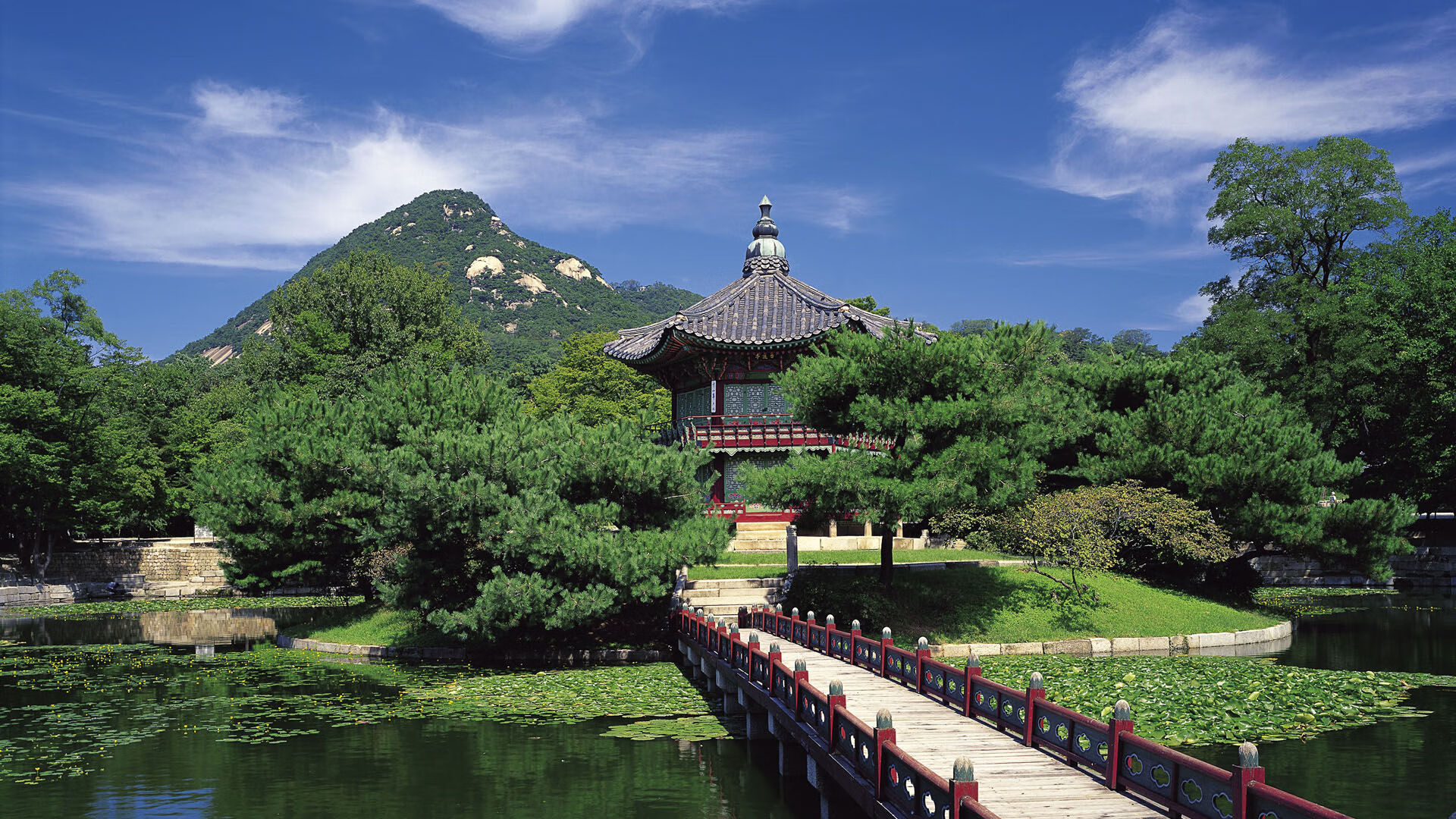 全国青少年马拉松文化节精彩纷呈，奔跑青春梦想，主题马拉松