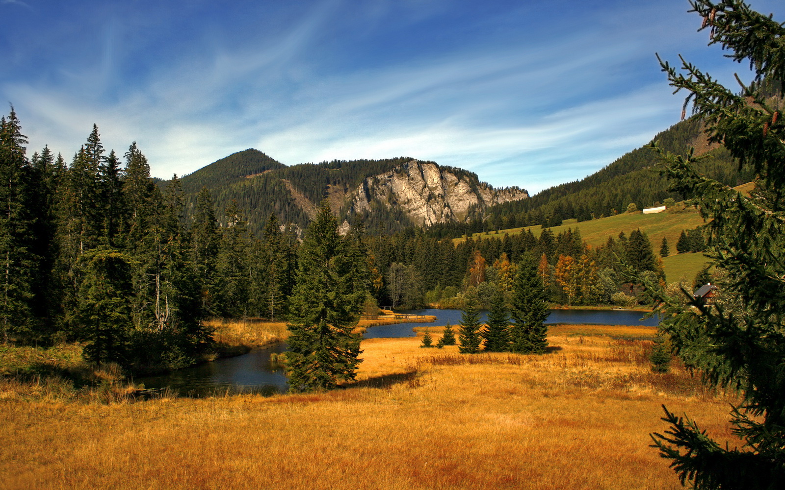澳大利亚队未来发展：如何在国际舞台上持续进步，澳大利亚队厉害吗