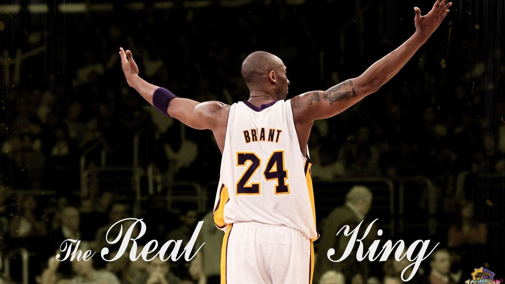 _在线互动:粉丝参与投票选出赛场最佳瞬间_,粉丝花钱投票